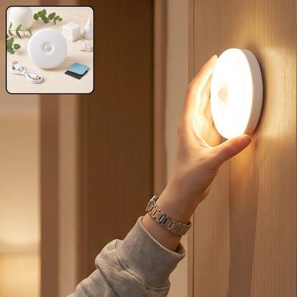LED motion sensor light