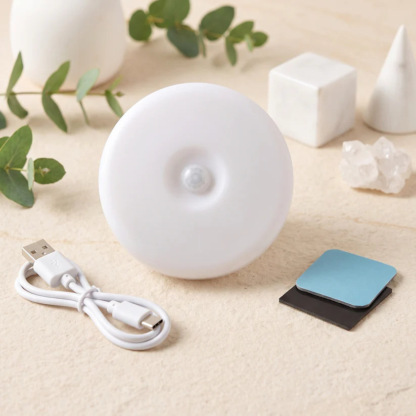 LED motion sensor light