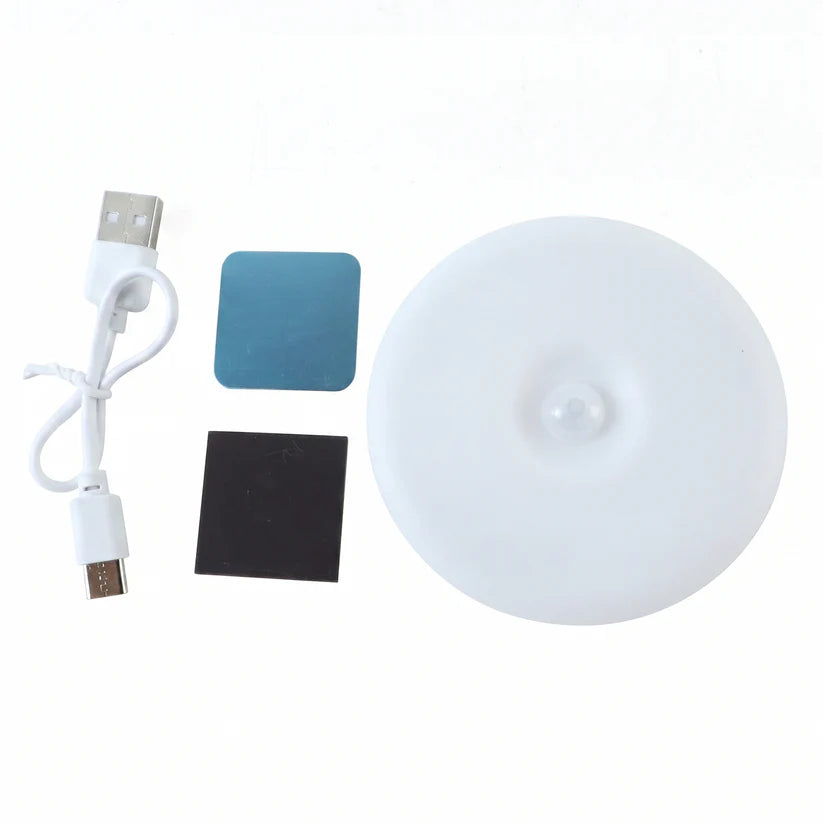 LED motion sensor light