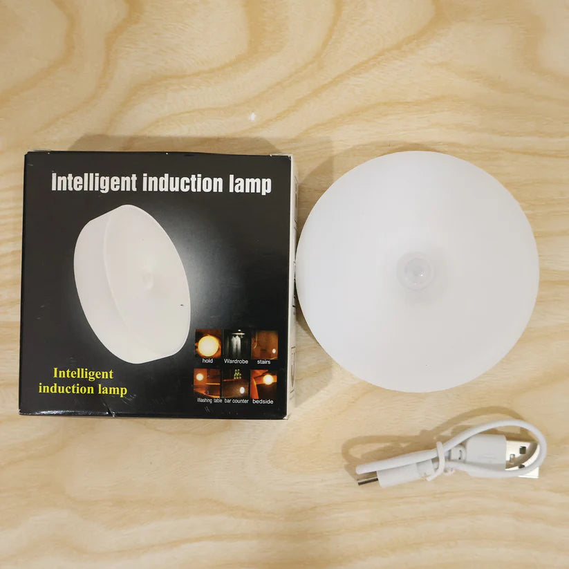 LED motion sensor light